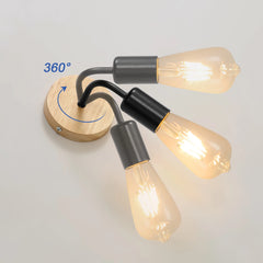 2-Pack Black Industrial Wall Sconces