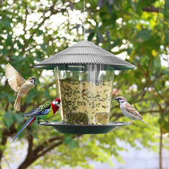 Hanging Bird Feeder (1/2/3PCS) – Squirrel Proof, Easy Fill