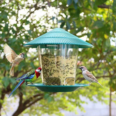 Hanging Bird Feeder (1/2/3PCS) – Squirrel Proof, Easy Fill