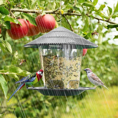 Window Wild Bird Feeder House – Transparent Plastic, Hanging
