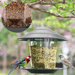 Hanging Bird Feeder (1/2/3PCS) – Squirrel Proof, Easy Fill