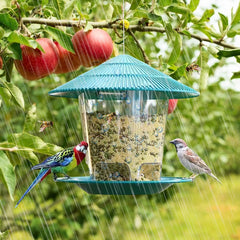 Window Wild Bird Feeder House – Transparent Plastic, Hanging